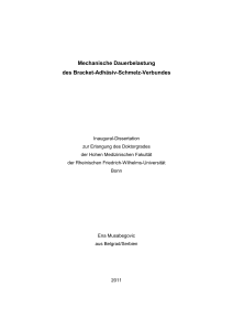 Mechanische Dauerbelastung des Bracket-Adhäsiv