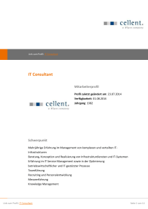 expert-profiles.com: IT Consultant