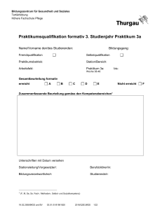 HF-Praktikumsqualifikation-Jahr3_P3b_Formular
