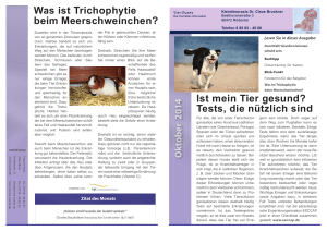 Was ist Trichophytie beim Meerschweinchen? Ist mein Tier gesund