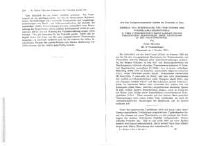 576 Zum Abschlu&szlig; sei cin kurzer Ausblick