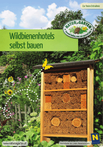 Wildbienenhotels selbst bauen