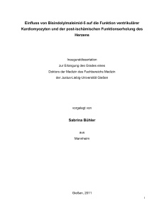 Einfluss von Bisindolylmaleimid-5 auf die Funktion ventrikulärer