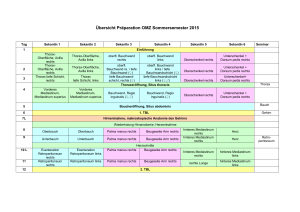 &Uuml;bersicht Pr&auml;paration OMZ Sommersemester 2015