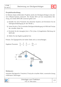 Bestimmung von Gleichgewichtslagen Unterlagen zum Praktikum