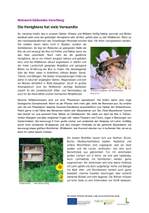 4 Artikel NBV Wildbienen mit Fotos