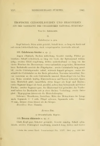 Term&eacute;szetrajzi f&uuml;ze tek