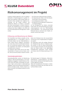 Risikomanagement im Projekt KLUSa Datenblatt