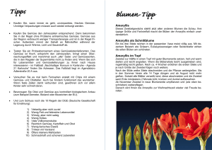 Tipps Blumen-Tipp