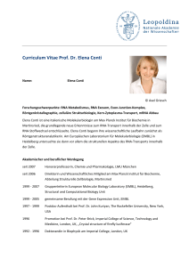 Curriculum Vitae Prof. Dr. Elena Conti