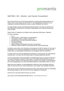 SAP BW / BI – Senior- und Junior Consultant