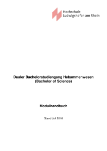 Modulhandbuch - Hochschule Ludwigshafen am Rhein