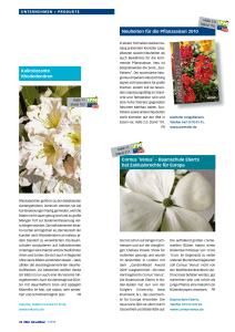 Cornus `Venus` - European Poultry Science