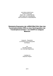 Reduzierte Expression der miRNA196a2 führt über den