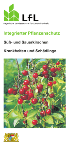 und Sauerkirschen - Bayerische Landesanstalt für Landwirtschaft