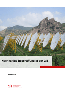 Nachhaltige Beschaffung in der GIZ