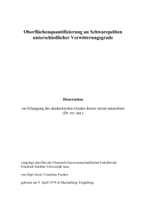 Oberflächenquantifizierung an Schwarzpeliten unterschiedlicher