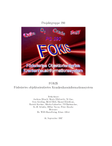 Projektgruppe 290 FOKIS F oderiertes objektorientiertes