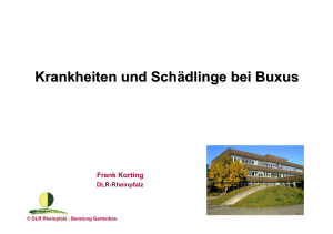 Präsentation Korting Bux Hausgarten