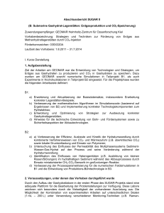 Abschlussbericht SUGAR II (B: Submarine Gashydrat