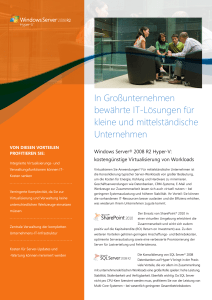 In Gro&szlig;unternehmen bew&auml;hrte IT