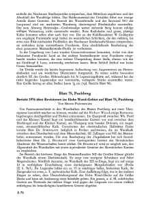 Blatt 75, Puchberg Bericht 1976 über Revisionen im Hohe Wand