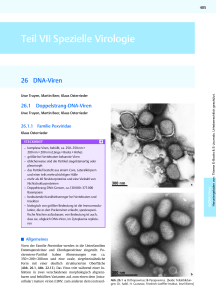 Teil VII Spezielle Virologie