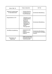 Name, Matr. Nr. Fabian Gottschlich 807139 Mitarbeit