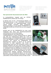 Technik Hauswasserwerk Rainmaster Eco 10