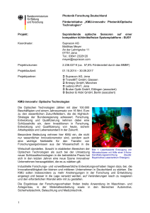 Projektsteckbrief SUSY - Photonik Forschung Deutschland
