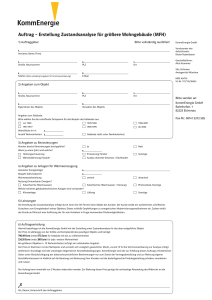 Auftrag – Erstellung Zustandsanalyse für größere