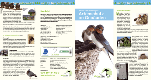 Artenschutz an Geb&auml;uden