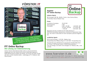 FIT Online Backup Infoblatt downloaden