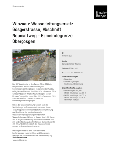 Winznau: Wasserleitungsersatz Gösgerstrasse, Abschnitt