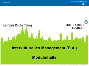 Interkulturelles Management (B.A.) Modulinhalte