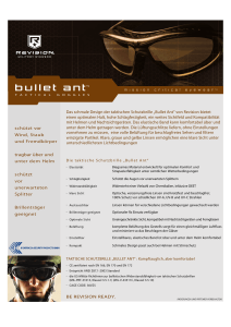 Das schmale Design der taktischen Schutzbrille „Bullet Ant“ von