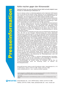 Pressetext Januar 2011 (PDF/506 KB)