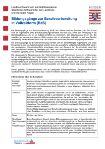 Bildungsgänge zur Berufsvorbereitung in - Max-Eyth