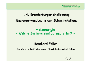 14. Brandenburger Stallbautag, Heizenergie - Welche