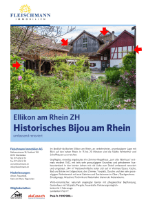 Historisches Bijou am Rhein
