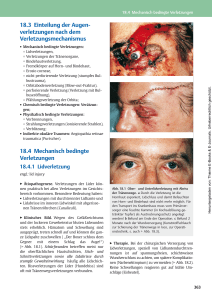 18.3 Einteilung der Augen- verletzungen nach
