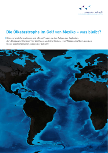 Die Ölkatastrophe im Golf von Mexiko – was bleibt?