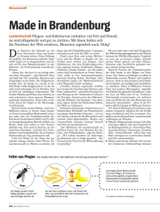 Made in Brandenburg