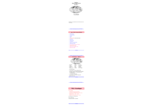 TEIL I: Grundlagen - Databases and Information Systems