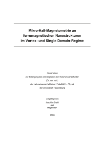 Mikro-Hall-Magnetometrie an ferromagnetischen Nanostrukturen im