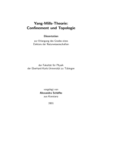 Yang-Mills-Theorie: Confinement und Topologie