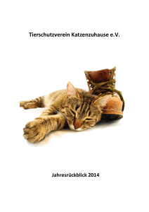 Tierschutzverein Katzenzuhause e.V.