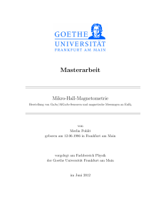 Masterarbeit - Goethe