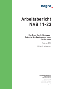 Arbeitsbericht NAB 11-23