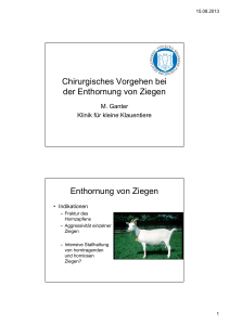 (Microsoft PowerPoint - Enthornung-kurz Ganter.ppt [Kompatibilit
